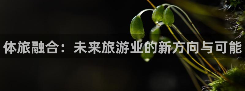 体旅融合：未来旅游业的新方向与可能